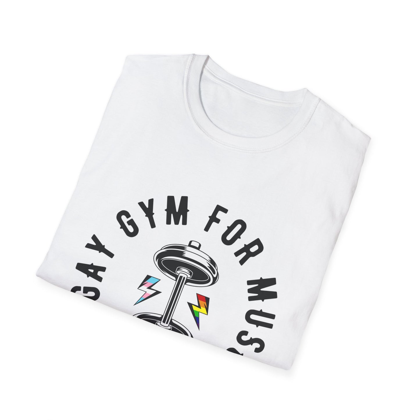 Front Print Big Gay Gym for Muscles Premium Softstyle T-Shirt