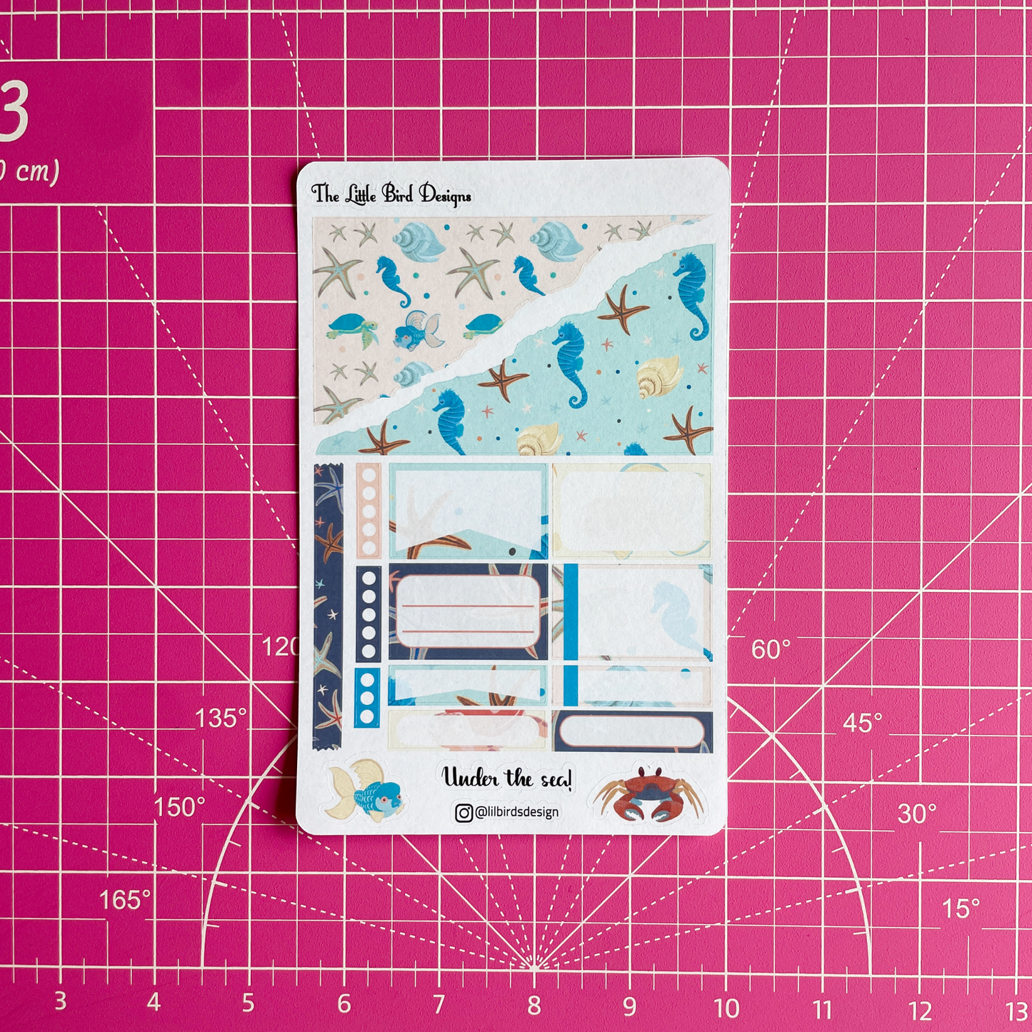 Under the Sea – Passion Planner Daily – Sticker Bundle