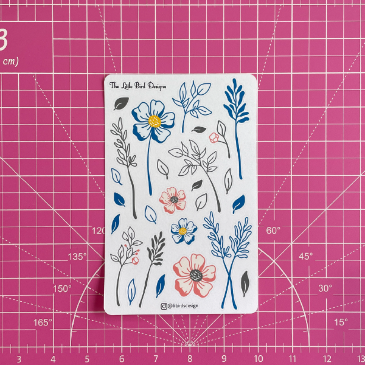 Blue and Coral Line Art – Passion Planner Daily – Sticker Bundle